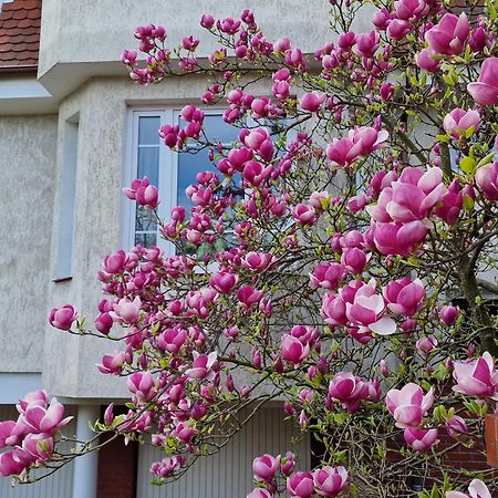 Apartament Magnolia Сопот Экстерьер фото