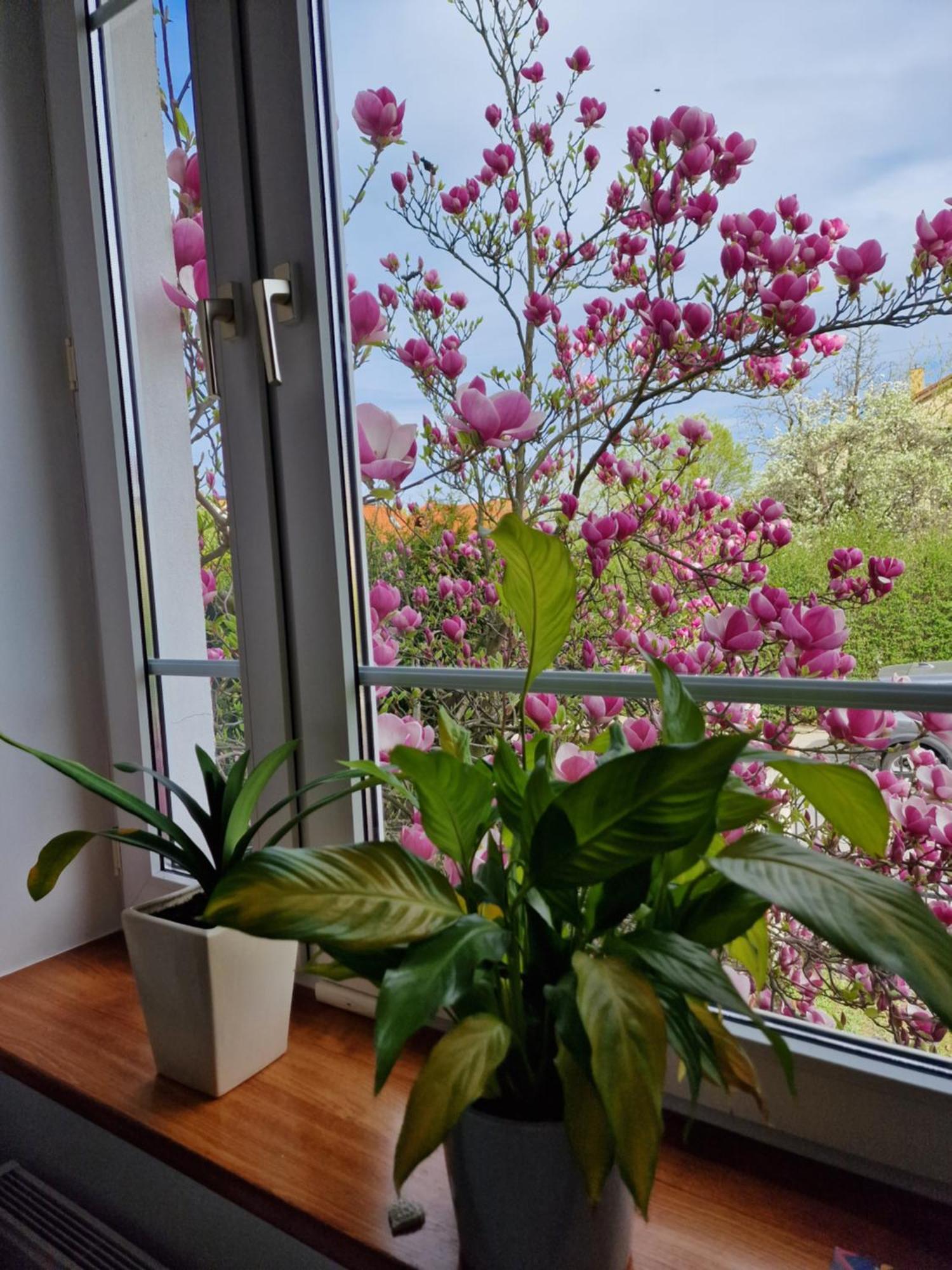 Apartament Magnolia Сопот Экстерьер фото